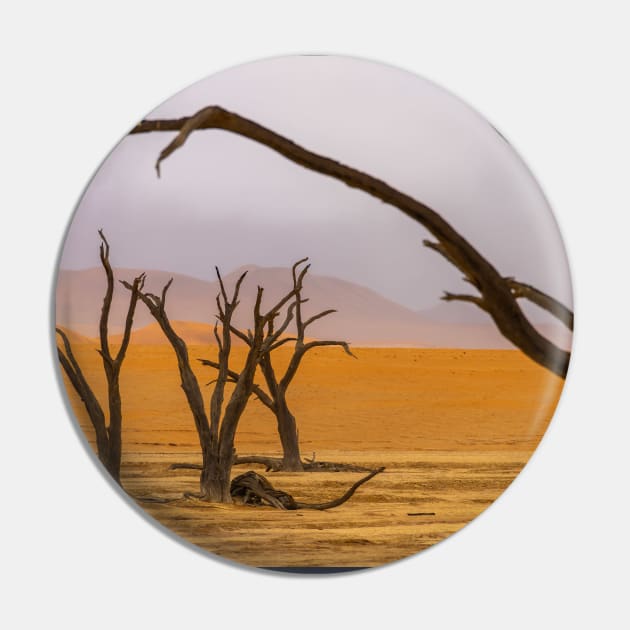 Namibia. Namib-Naukluft National Park. Deadvlei. Dead Trees. Fog. Pin by vadim19