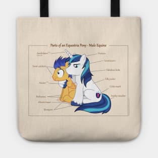 Pony Anatomy - Male Equine Tote