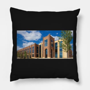 Alabama College of Osteopathic Medicine Photo Pillow