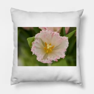 Various tulips in the park Pillow