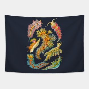 Ernst Haeckel Nudibranch Sea Slugs Tapestry