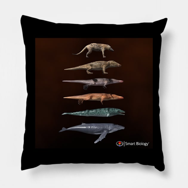 The Evolution of Whales Pillow by Smart Biology