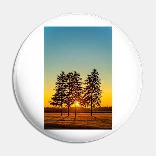 Conifers in the Sunset Pin