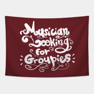 Musician looking for Groupies Tapestry