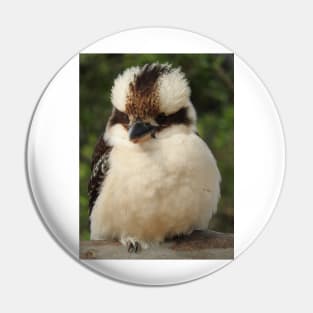 Kookaburra Pin