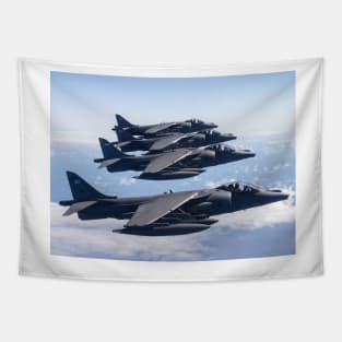 Harrier Quartet Tapestry