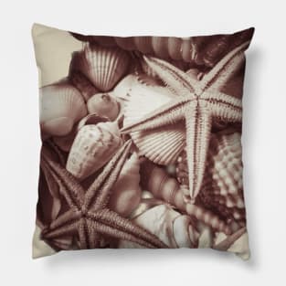 Seashells Beach Vacation Pillow