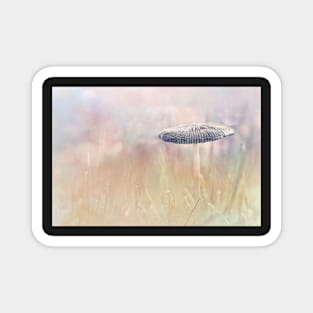 Lonely Mushroom Magnet