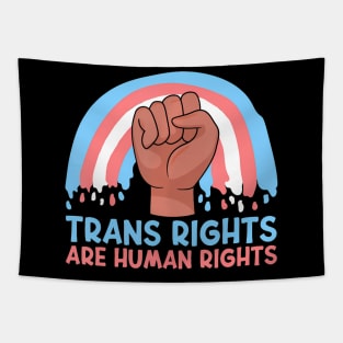 Trans Are Human Rights LGBT Pride Month  Pride Tapestry