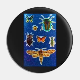 Bugs Pin