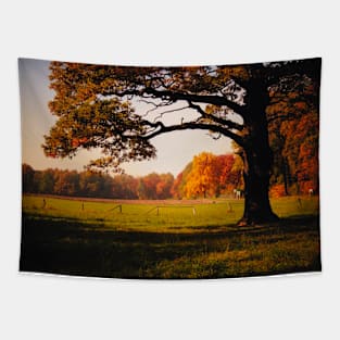 Tree in a Meadow (Vivid) Tapestry