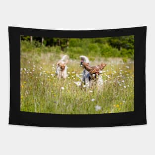 Wild daisies Spinoni Tapestry