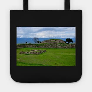 Site archéologique de Monte Alban, Oaxaca Mexique Tote