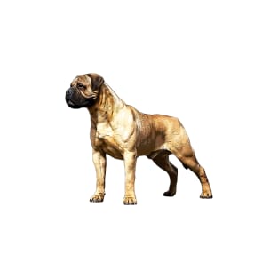 Bullmastiff T-Shirt