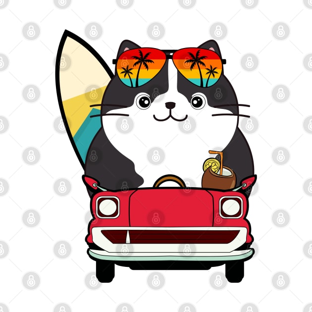 Funny Fat cat is driving to the beach by Pet Station