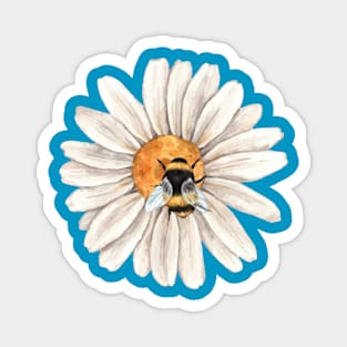 Honey Bee on Daisy Flower in Watercolor Magnet