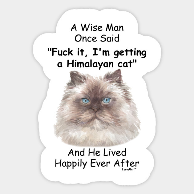 Funny Himalayan Cat Gift For Men Himalayan Cat Sticker Teepublic
