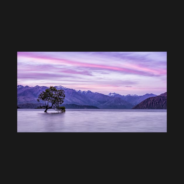 The Sun Sets Over That Wanaka Tree by krepsher