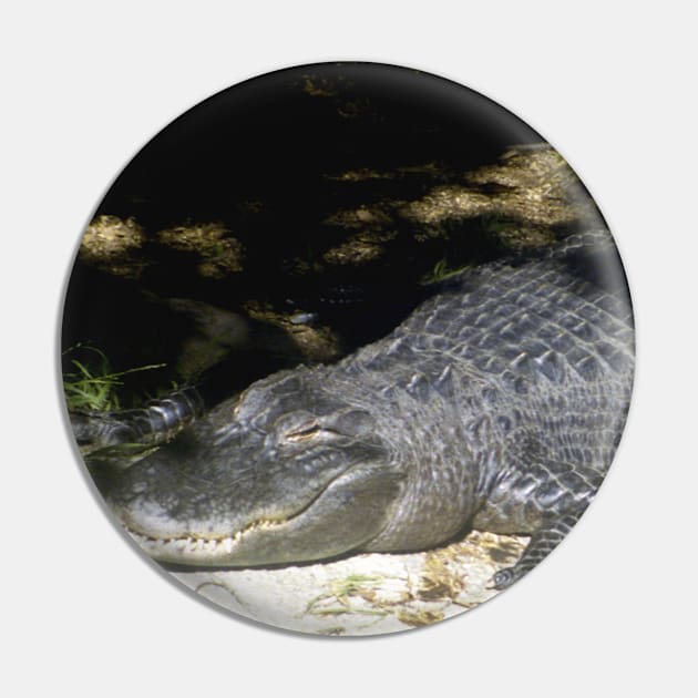 Alligator Sunbathing Pin by BlakCircleGirl