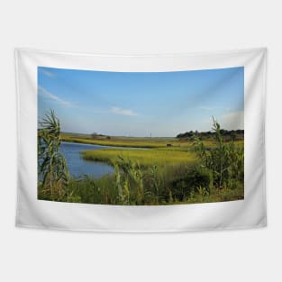 Beautiful View Tapestry