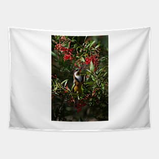 Spinebill Delight Tapestry