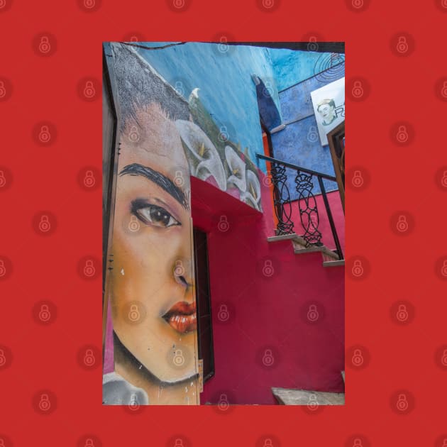 Mexico. Guanajuato. Graffiti of Frida. by vadim19