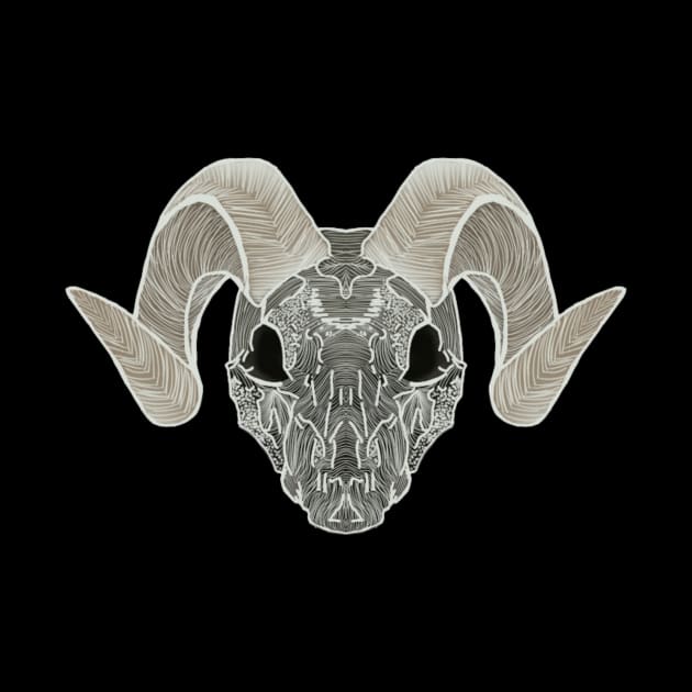 Ram skull by Nomelet