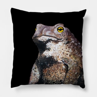 Holy Toad Pillow