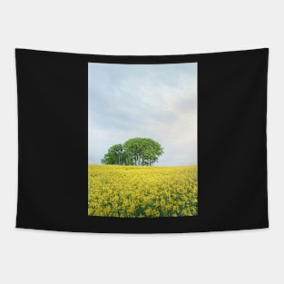 Yellow spring fields Tapestry