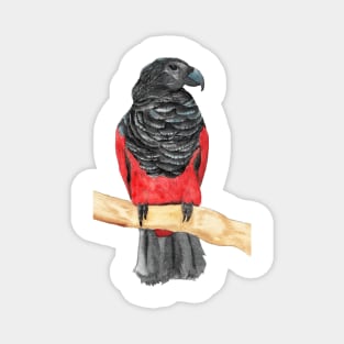 dracula parrot watercolor Magnet