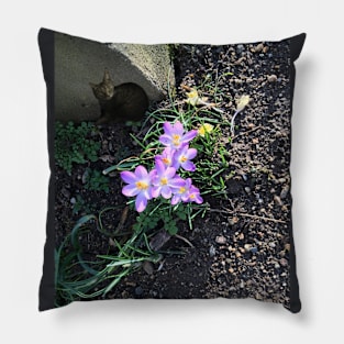 Tiny Cat With Crocuses Pillow