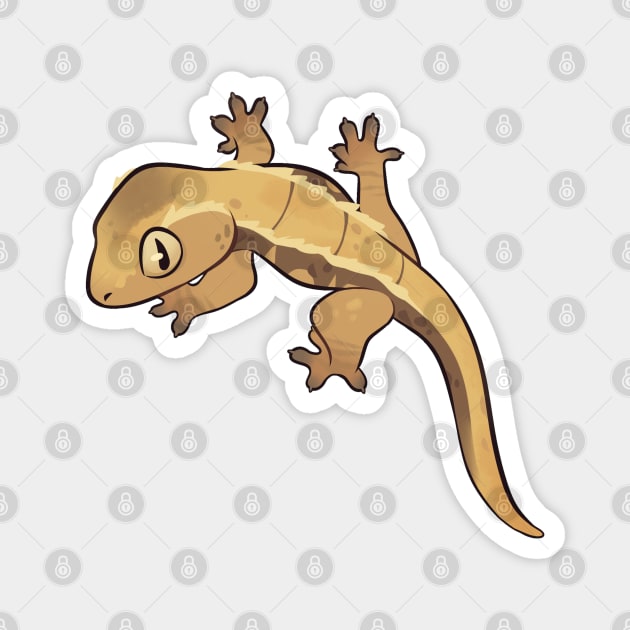 Crested Gecko 3 Magnet by GothamGeckos