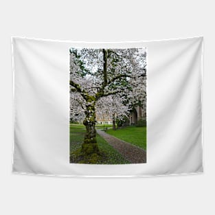 Cherry Blossoms Tapestry