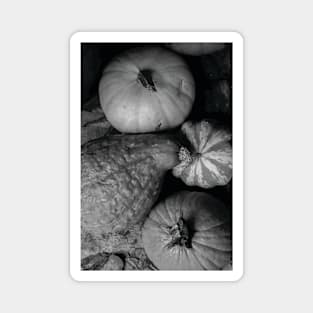 Gourds Magnet