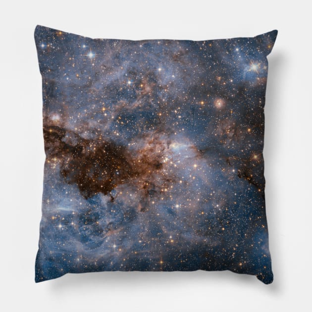 NASA Hubble Space Telescope Image of Stellar Nursery LMC Pillow by Brasilia Catholic