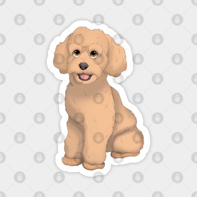 Apricot Toy Poodle Dog Magnet by millersye