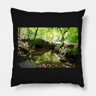 Blaise Castle bridge Pillow