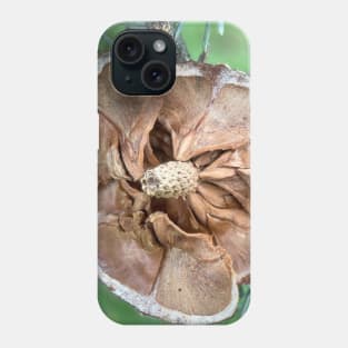 Faded picea cone Phone Case