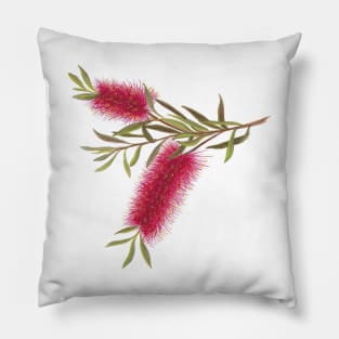 Australian Flora ~ Red Bottle Brush Pillow