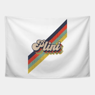 retro vintage color Plini Tapestry