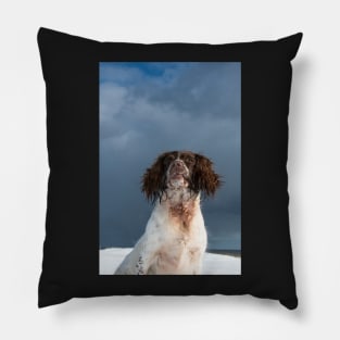 English Springer Spaniel Pillow