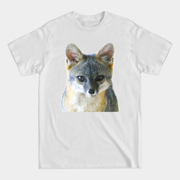 Disover Cute Grey Fox - Fox - T-Shirt