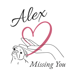 Missing Alex T-Shirt