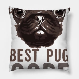 Pug Hooper Pillow