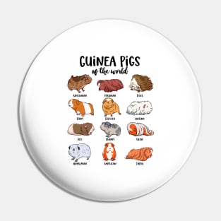 Guinea pigs of the world - Various kawaii guinea pigs Pin