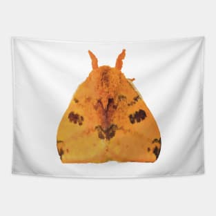 Io Moth Tapestry