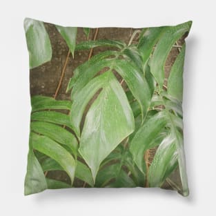 Green leaf, Aesthetic minimalist green leaves plants, nature modern art photography Pillow