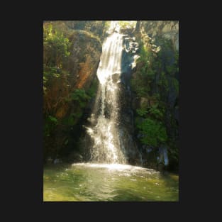 Waterfall in the Jungle T-Shirt