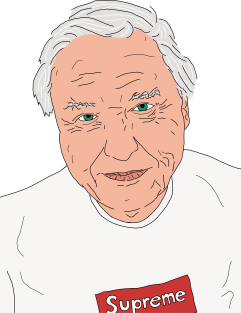 David Attenborough Supreme Tee Magnet