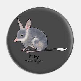 Endangered animals of Australia - Bilby, (Macrotis lagotis) Pin